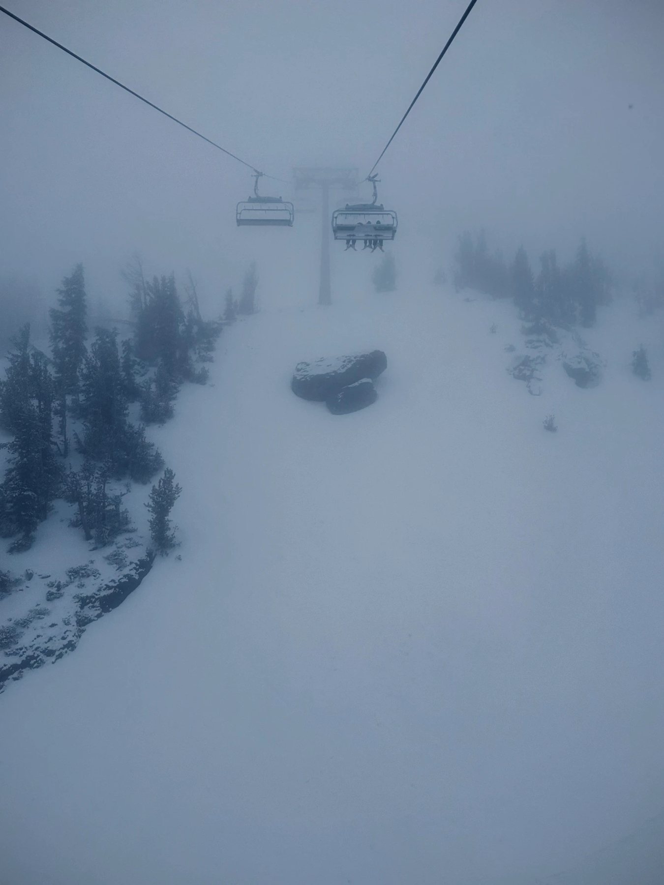 Chairlifts disappearing into whiteout fog above the trees at Mammoth