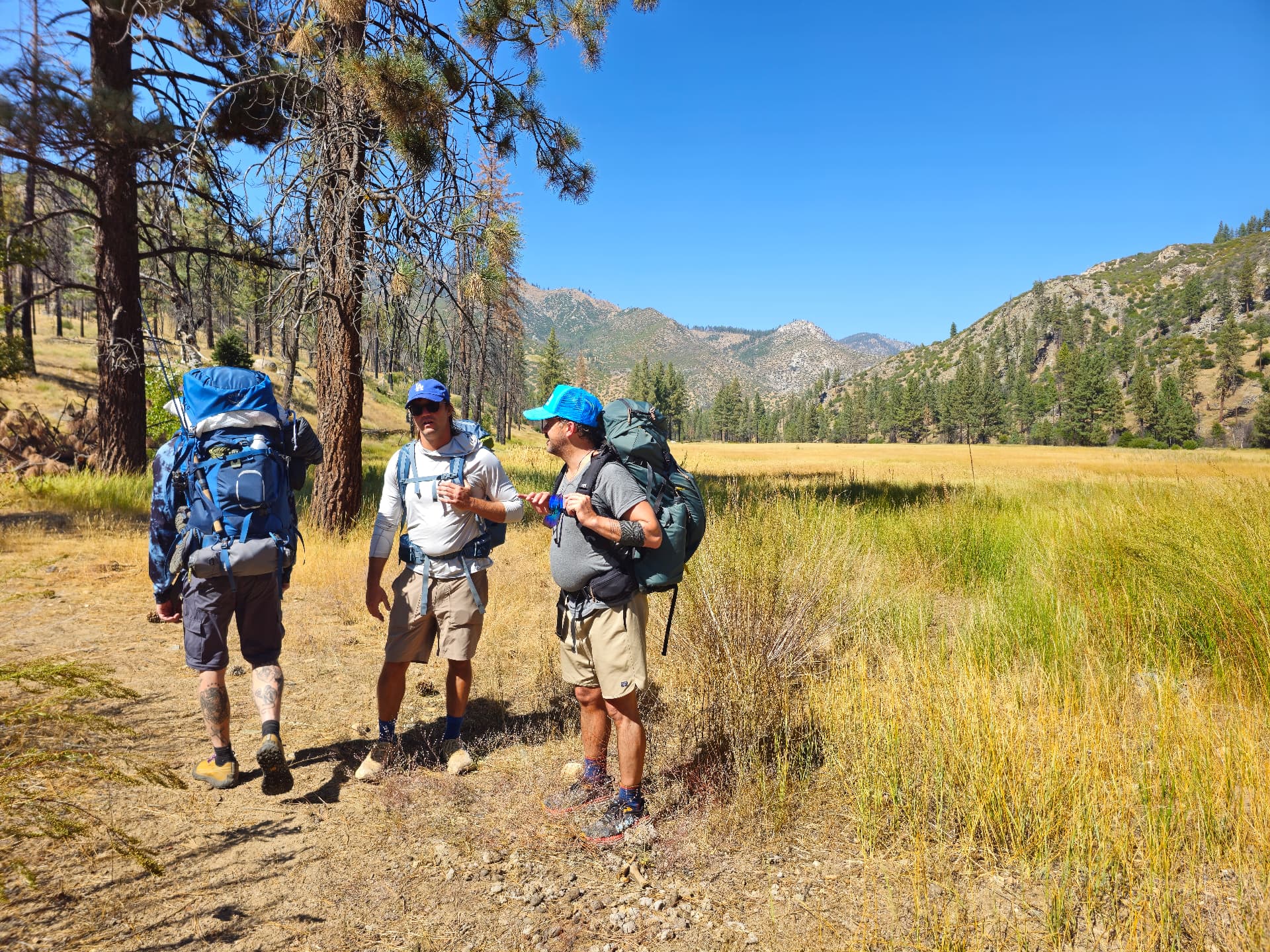 Men with packs talking in a golden meadow below the Sierra during outdoor experiential therapy