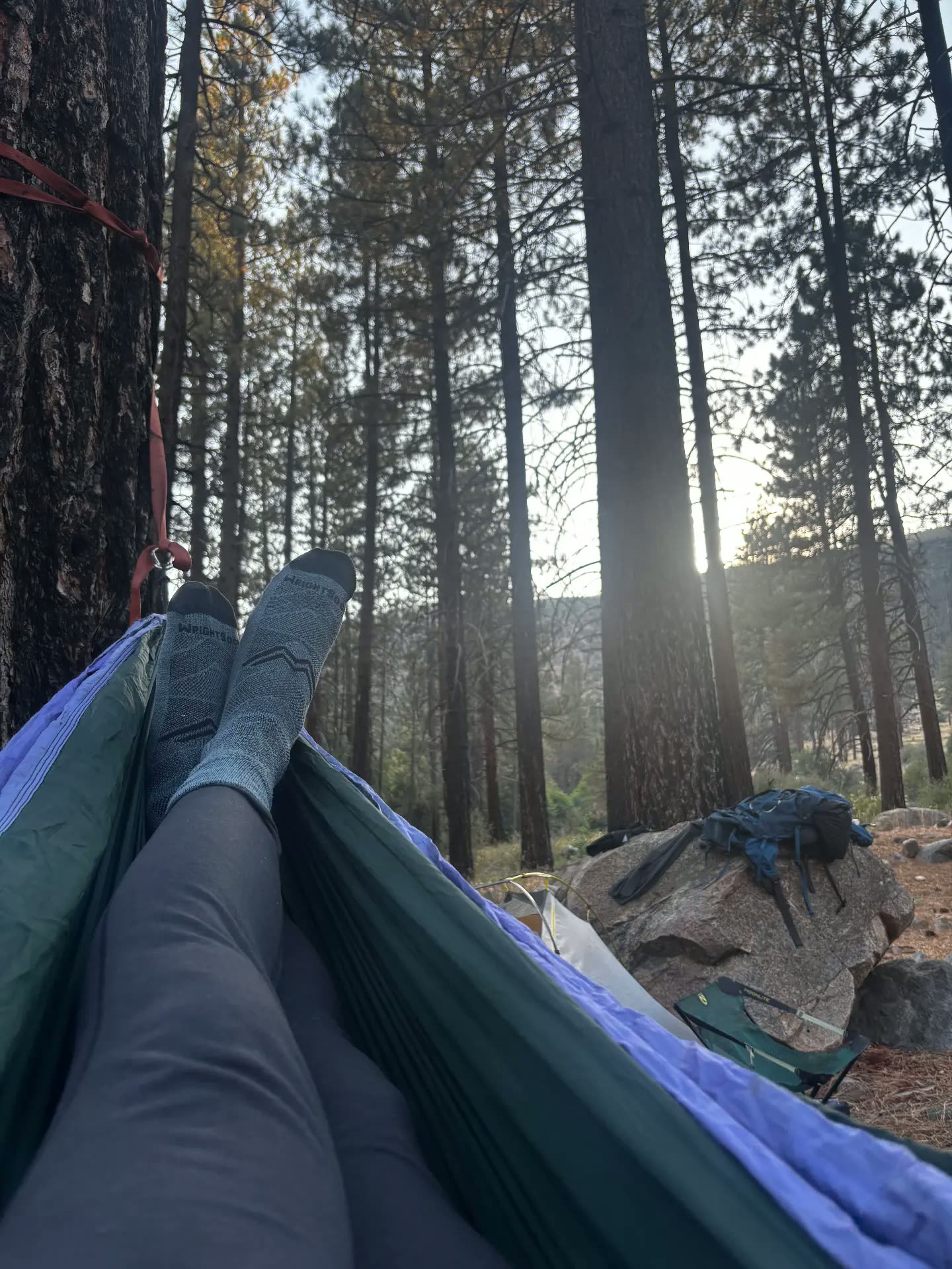 Resting in a hammock at camp as the sun comes through the pines during a men's camping trip