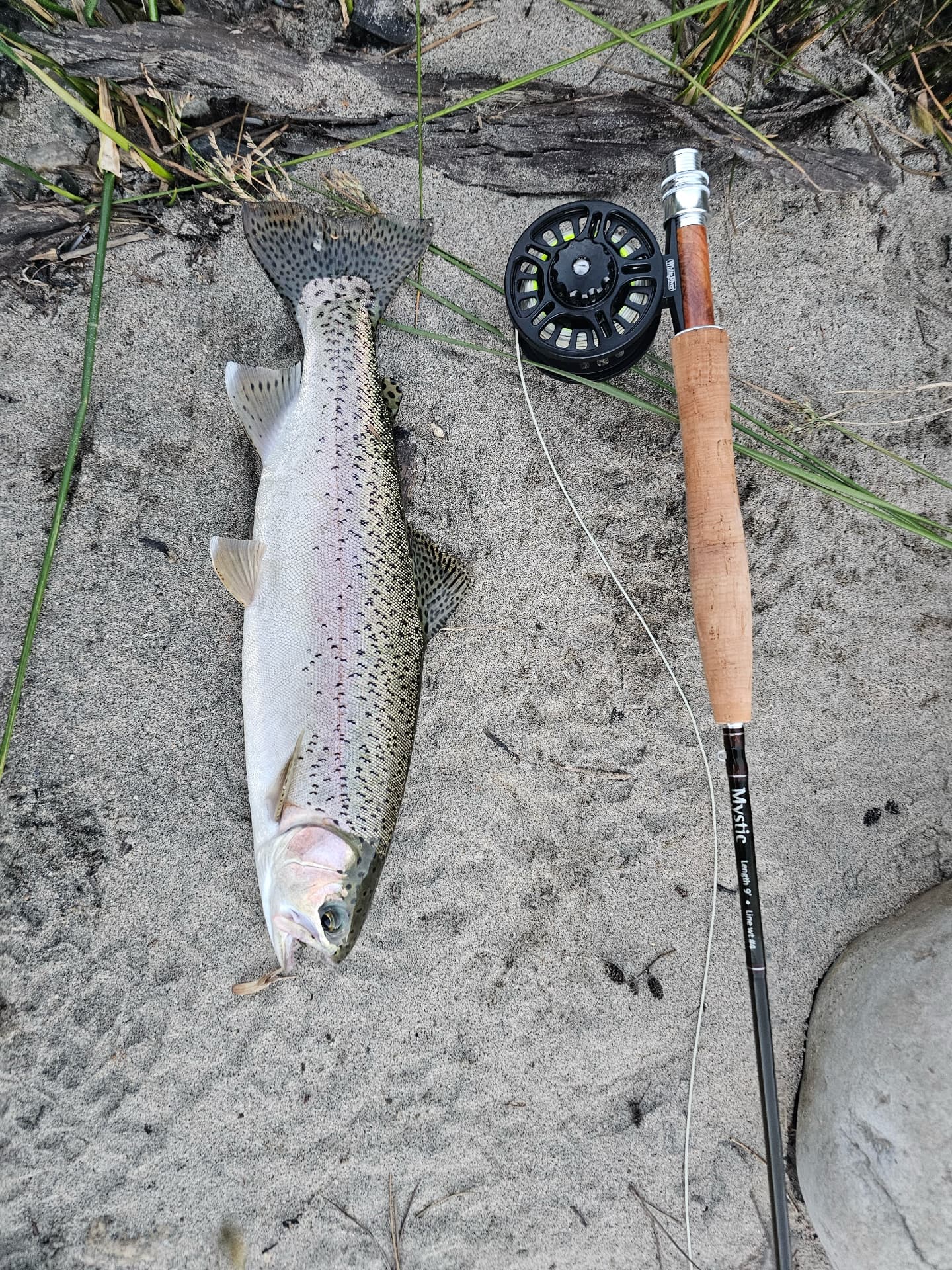 Rainbow trout on the sand beside a fly rod and reel during a wilderness therapy fishing trip