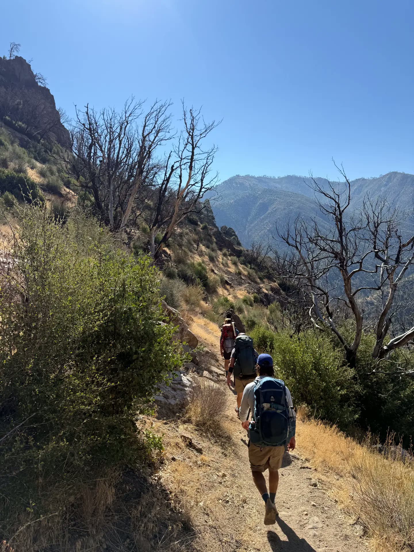 Men with packs hiking a high ridge trail above a canyon during a Recovery Republic wilderness therapy trip