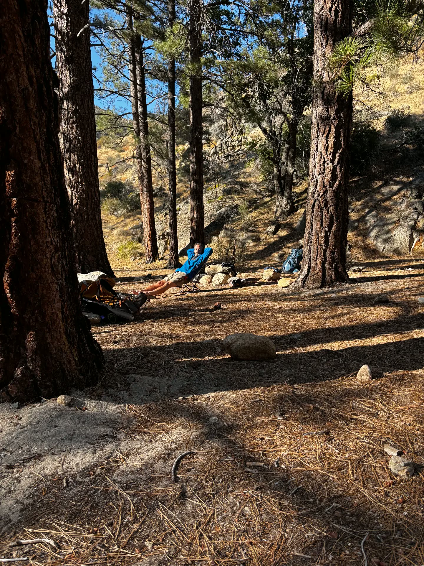 Man kicked back in a camp chair under tall pines during a wilderness therapy trip