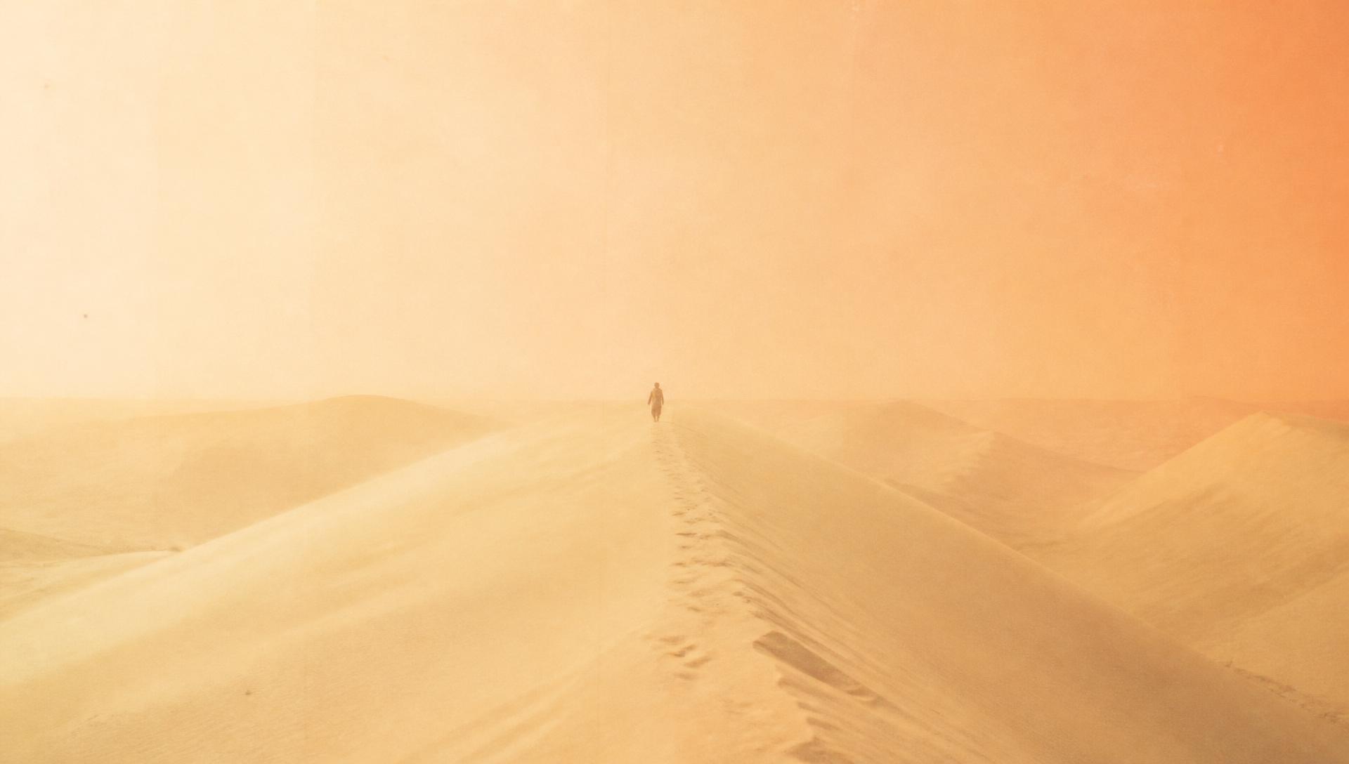 Men's outdoor therapy program at Recovery Republic — walking a sand dune ridge